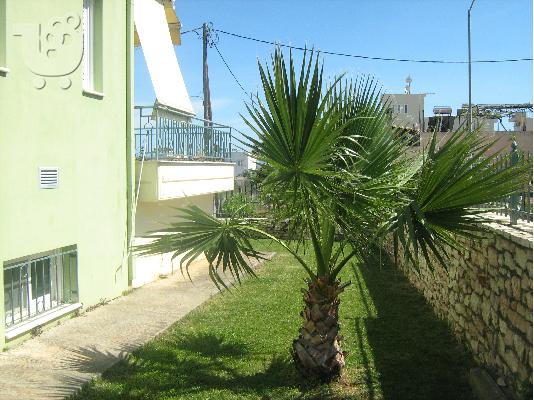 μονοκατοικία πολυτελής κατασκευής Μεσσήνη Μεσσηνίας...